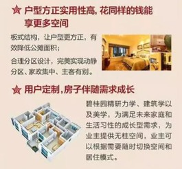 碧桂园 铸就家的梦想，传承匠心的国家雄力